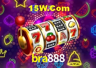 Sistemas de Segurança bra888