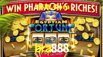Casino Ao Vivo bra888